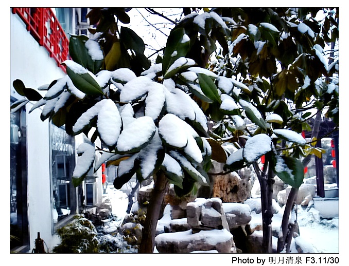 2006最后一场雪 摄影 白鹿泉边