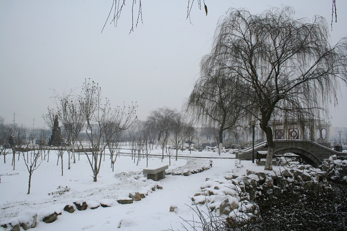 雪后小景 摄影 逃荒