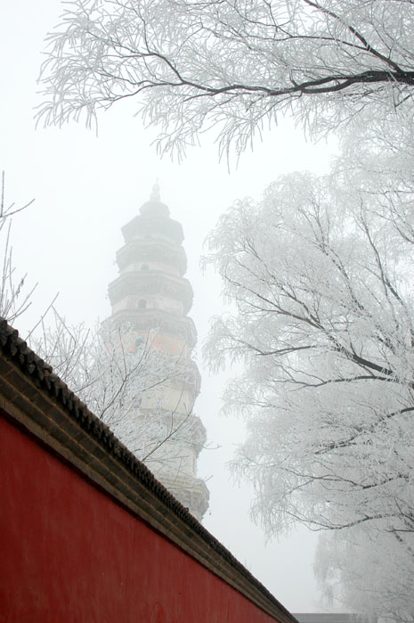 雾福临寺 摄影 泡影