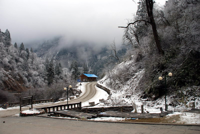 雪景 摄影 土豆加牛肉