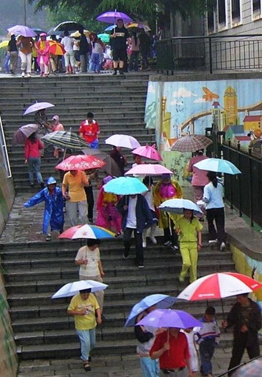 夏日的记忆——雨中 摄影 牛老