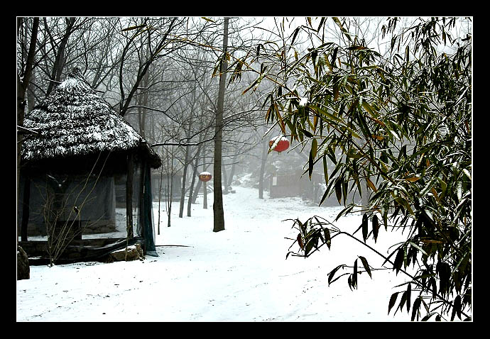 瑞雪贺新年（三） 摄影 清角