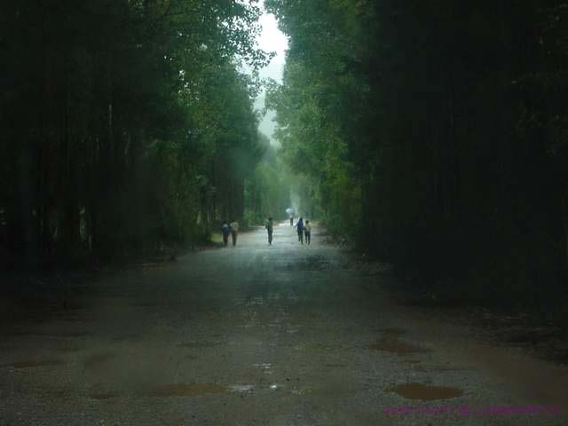 云南丽江，蒙蒙细雨中 摄影 大大猪猪