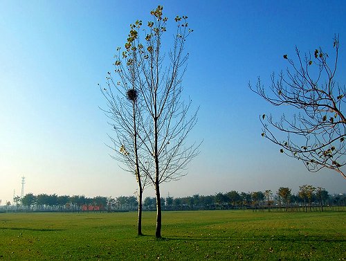 城市小景 摄影 快乐飞翔