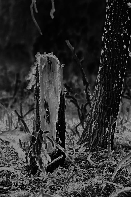 悲怆 摄影 雨虹