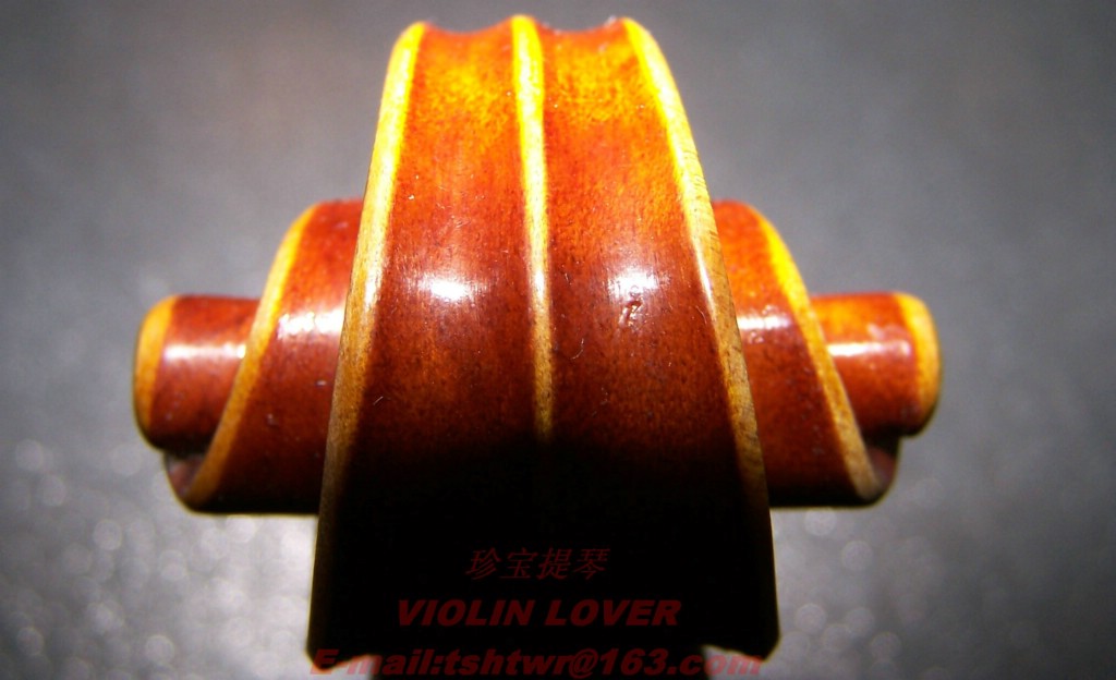 Violin----My_lover(706) 摄影 小提琴情人