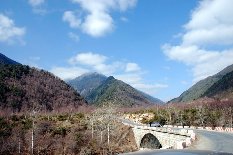 路景 摄影 土豆加牛肉