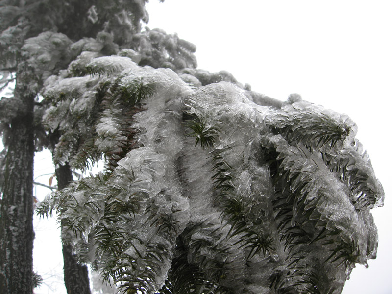 乳源大桥镇近日大雪 摄影 脱缰野马