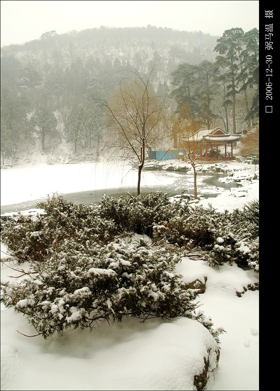 香山雪景 摄影 弼马温99