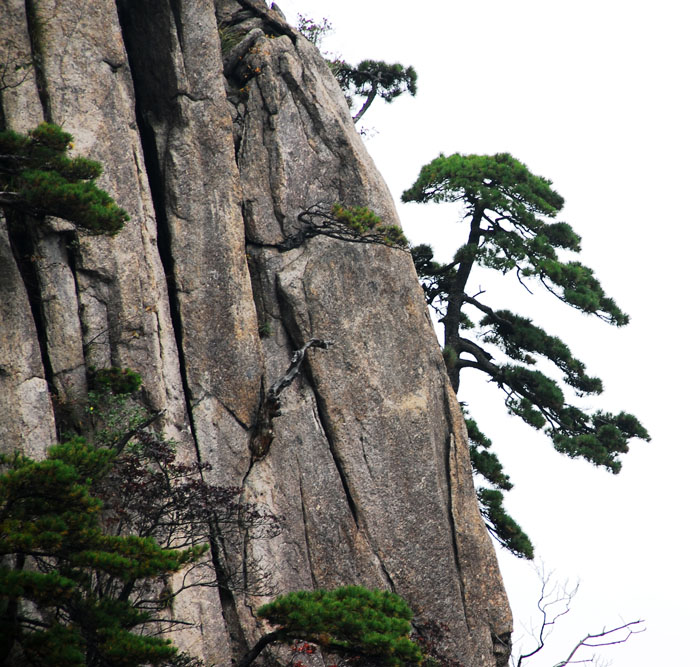 黄山风景(1) 摄影 曲光