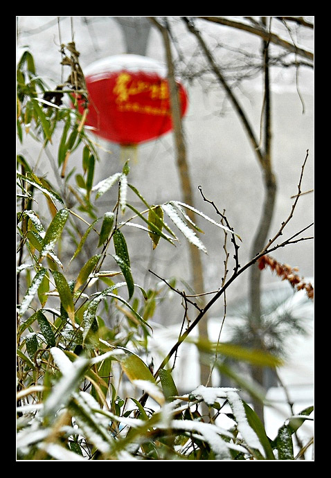 瑞雪贺新年（五） 摄影 清角