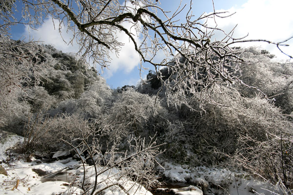 踏雪林场 摄影 风向哪里