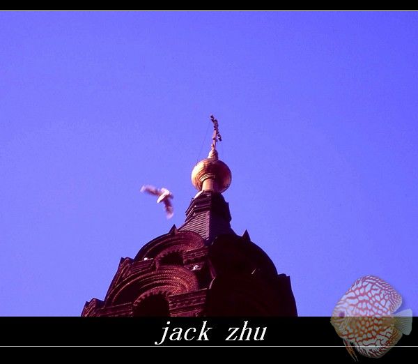 平和 摄影 JACKZHU