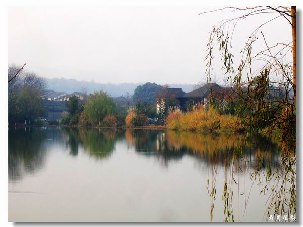 西湖一景 摄影 若柳舞月