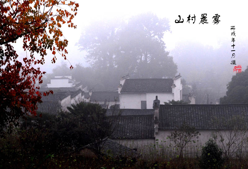 山村晨雾 摄影 林雨