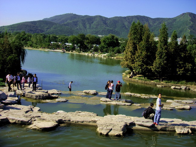 北京植物园 摄影 晴空万里