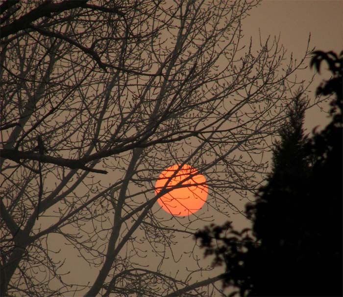 夕阳西下 摄影 木辰辰