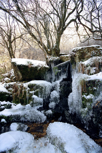 踏雪林场 摄影 风向哪里