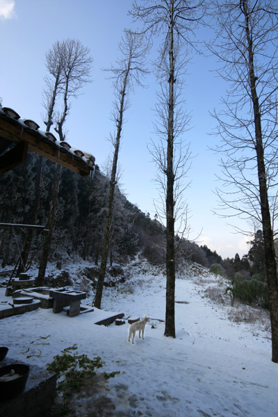 踏雪林场 摄影 风向哪里