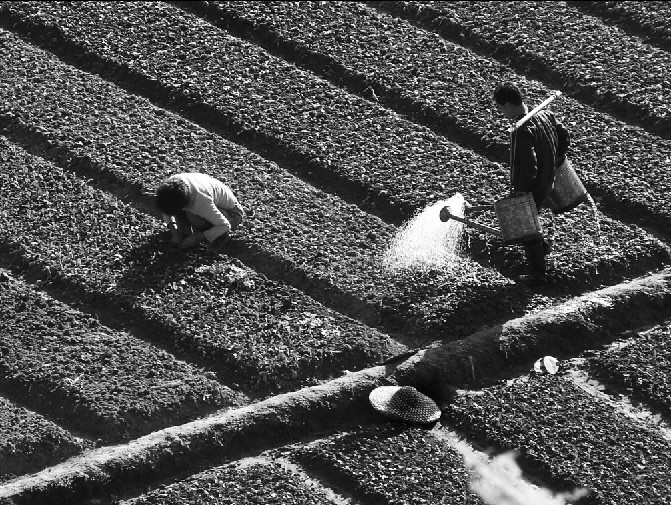 写照 摄影 bread