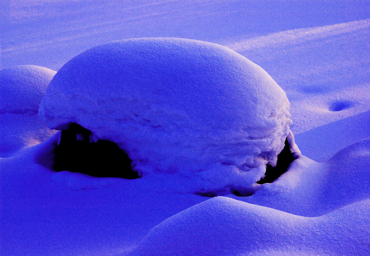 雪墩 摄影 冷面摄手