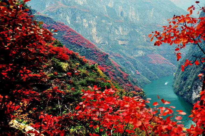 小三峡红叶 摄影 楠松林