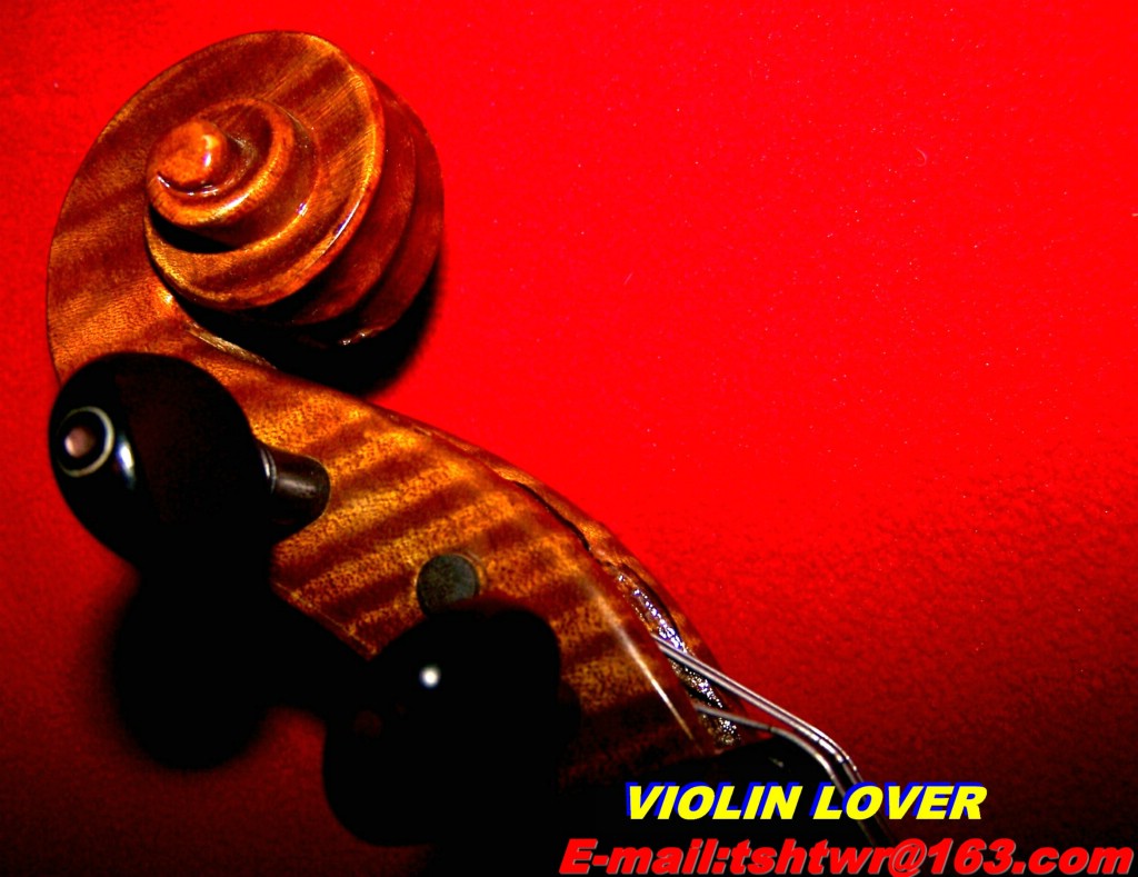 Violin----My_lover 摄影 小提琴情人