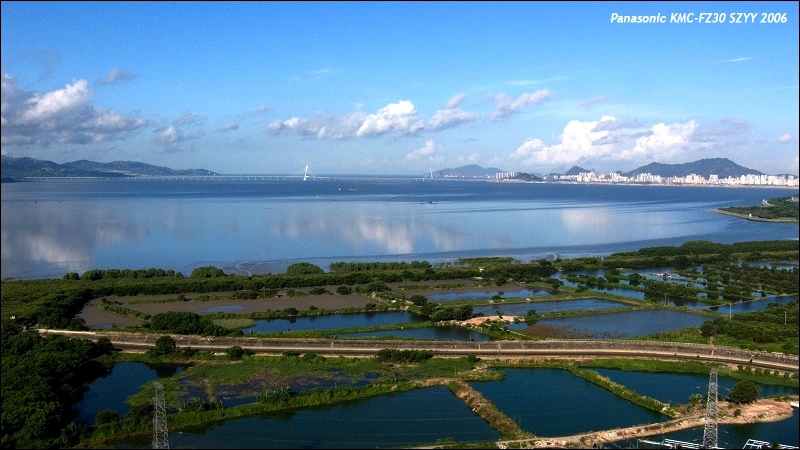 深圳湾 摄影 SZYY