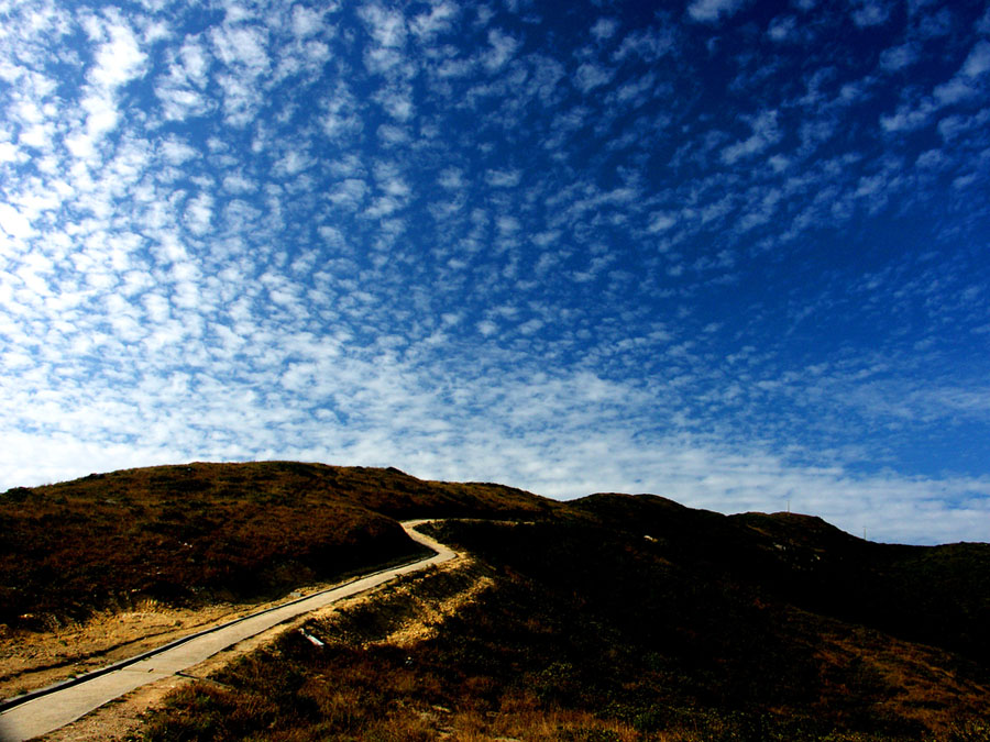 路 摄影 人土土