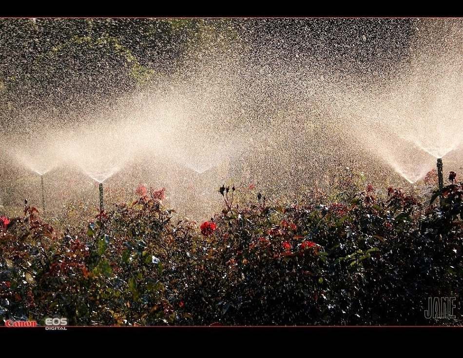 花雨 摄影 水过无痕