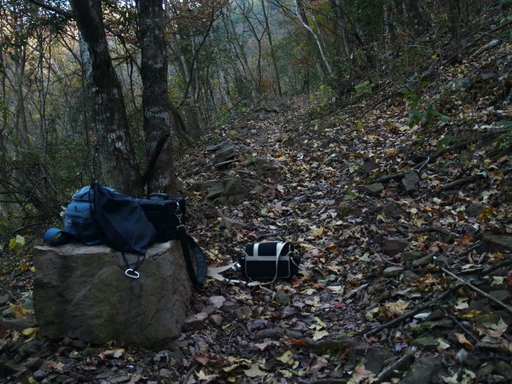 崇江界山道 摄影 快来看