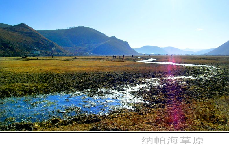 纳帕海草原 摄影 文竹细雨