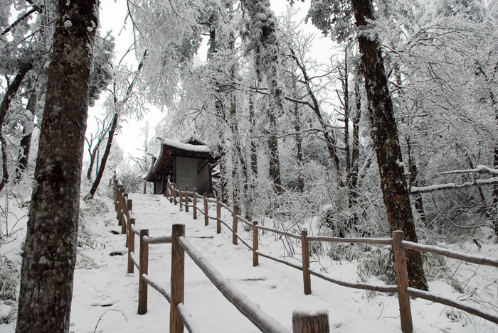 峨眉山2 摄影 雪域之子