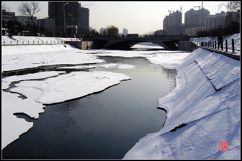 冰雪封不住 摄影 走马观花