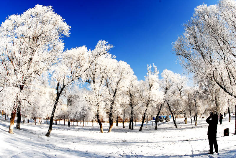 闻雪 摄影 菲林优摄