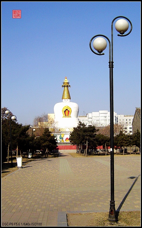 沈阳北塔 摄影 走马观花