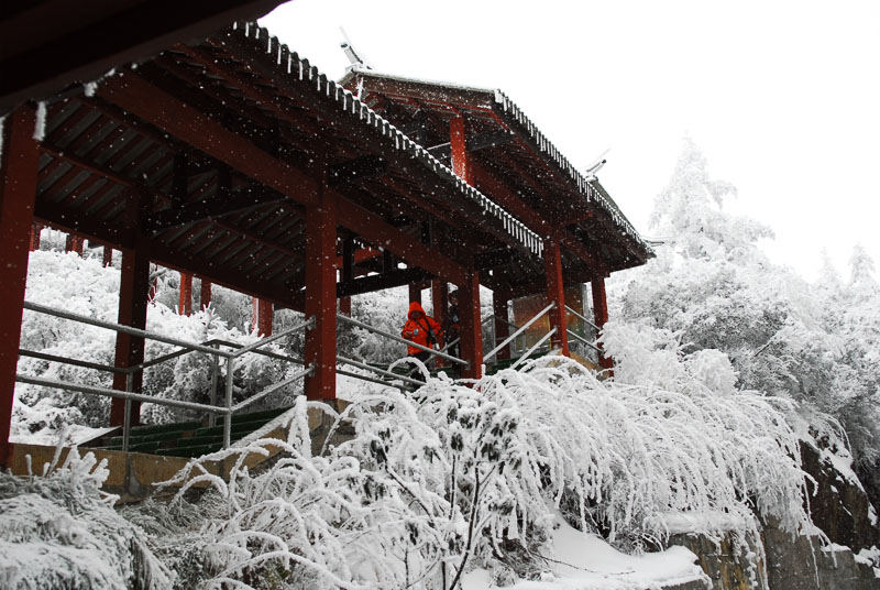 峨眉山3 摄影 雪域之子