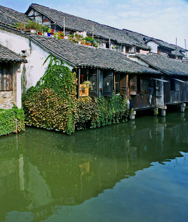 水乡乌镇写生       第七景 摄影 芍园草