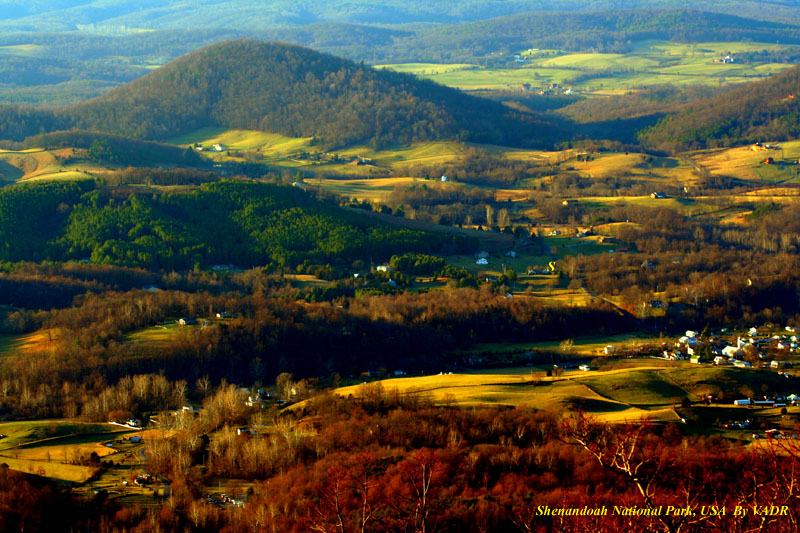 Shenandoah National Park, USA 摄影 yuhan