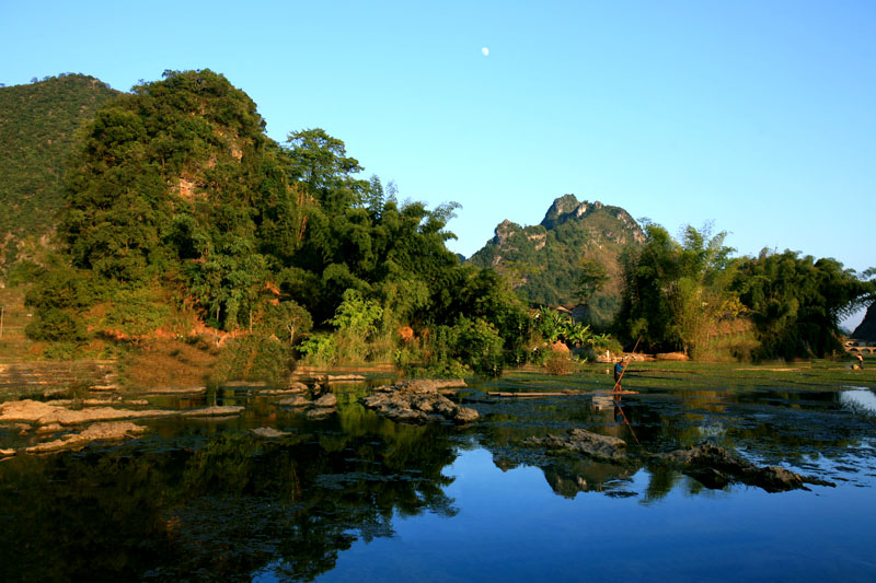 村边小景 摄影 红叶枫树林