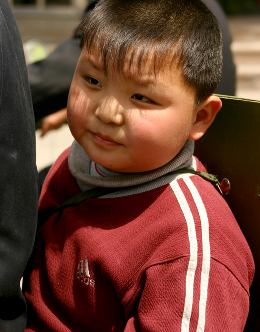 小小少年 摄影 菩提天马