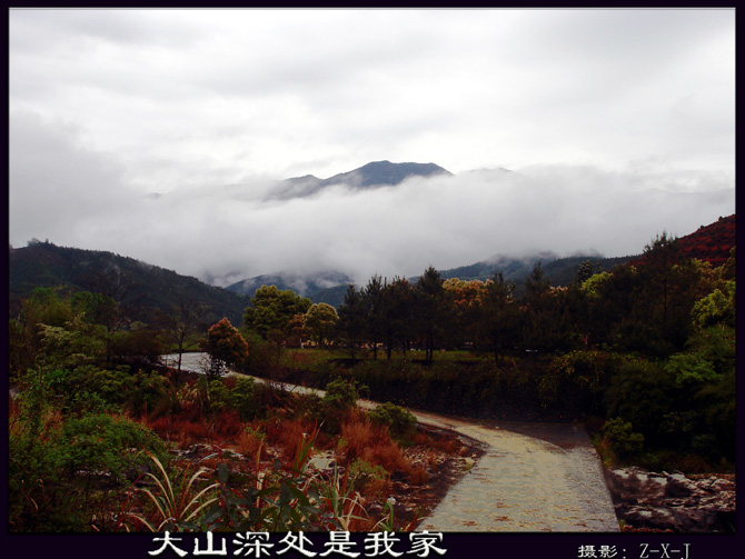 大山深处是我家 摄影 生物健