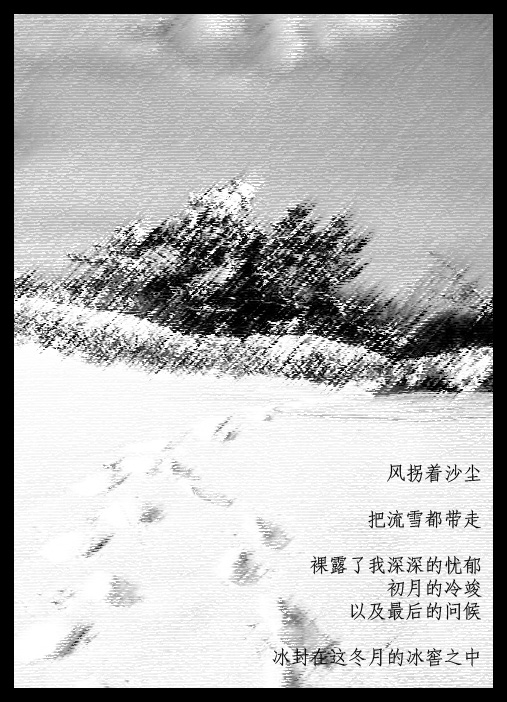 冬雪 摄影 偷心人