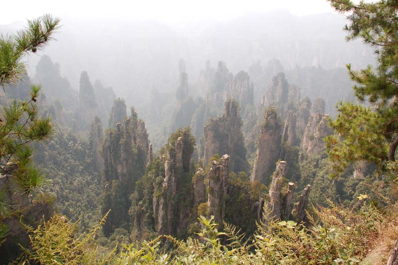 天子山 摄影 东春