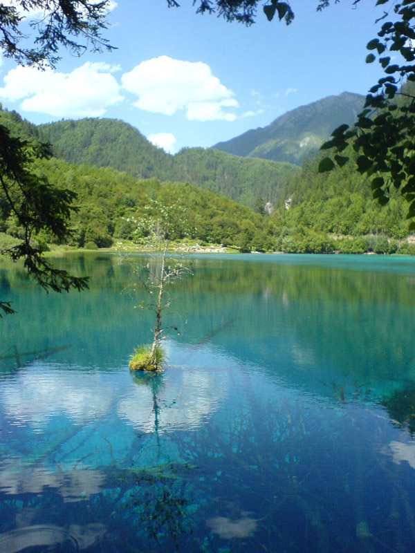 九寨沟之旅 摄影 葡式蛋挞