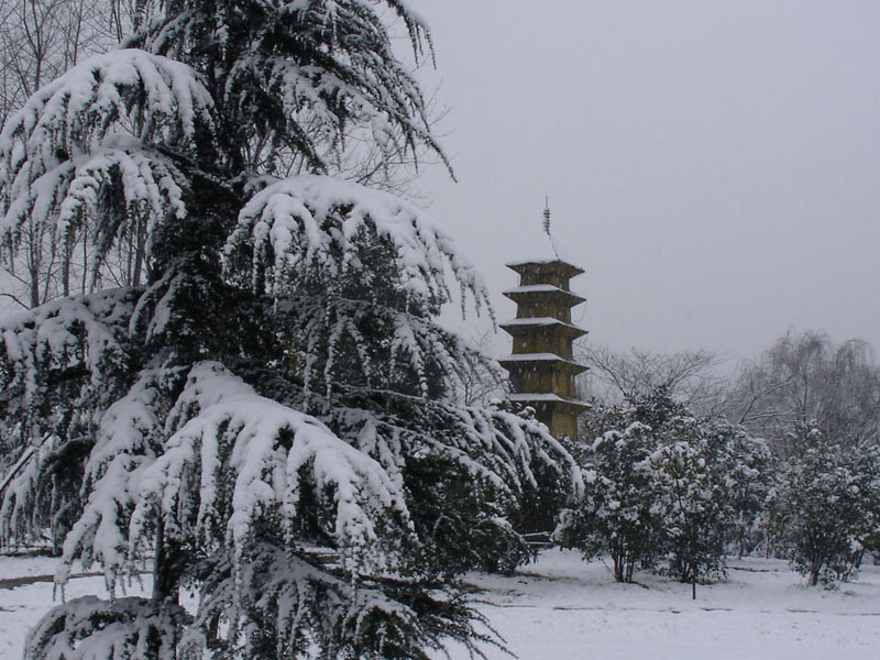 雪景〈二〉 摄影 五九