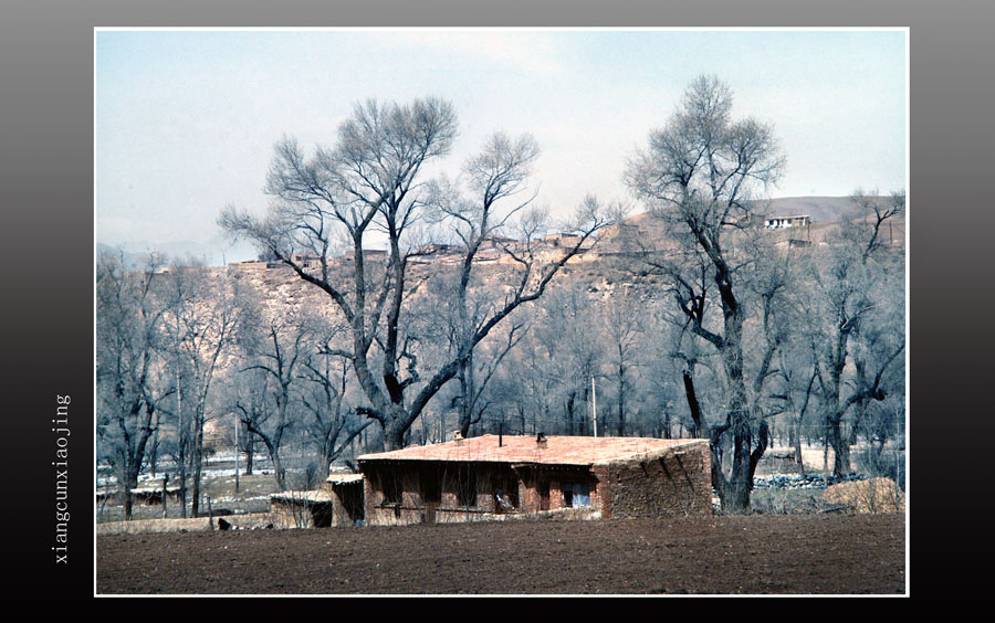 乡村小景 摄影 李明伟