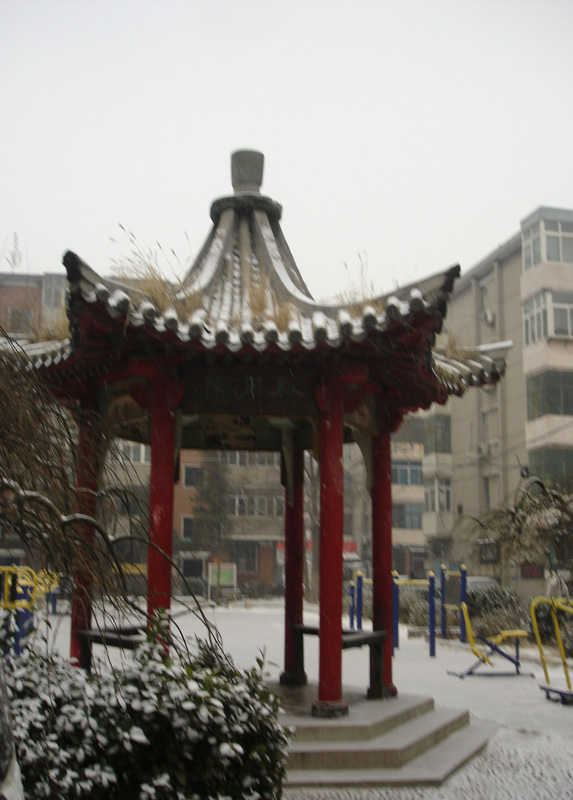 小雪2 摄影 良宵