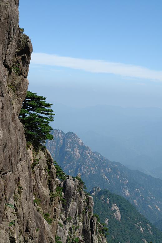 黄山之崖 摄影 云龙无形