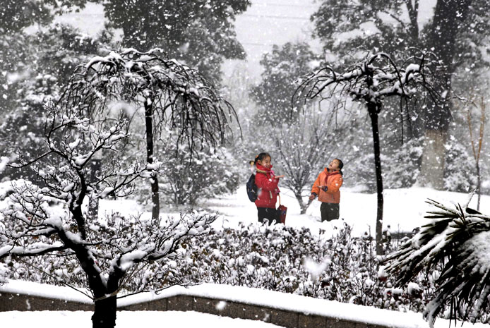 喜迎飞雪 摄影 傍水驿